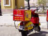 Aegypt2008d.JPG (655559 Byte)