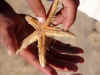 Aegypt2008f.JPG (672259 Byte)