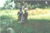 Gambia20002.jpg (13719 Byte)