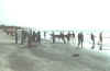 Gambia982.jpg (68187 Byte)