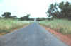 Gambia986.jpg (71897 Byte)