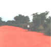 Gambia9911.jpg (30392 Byte)